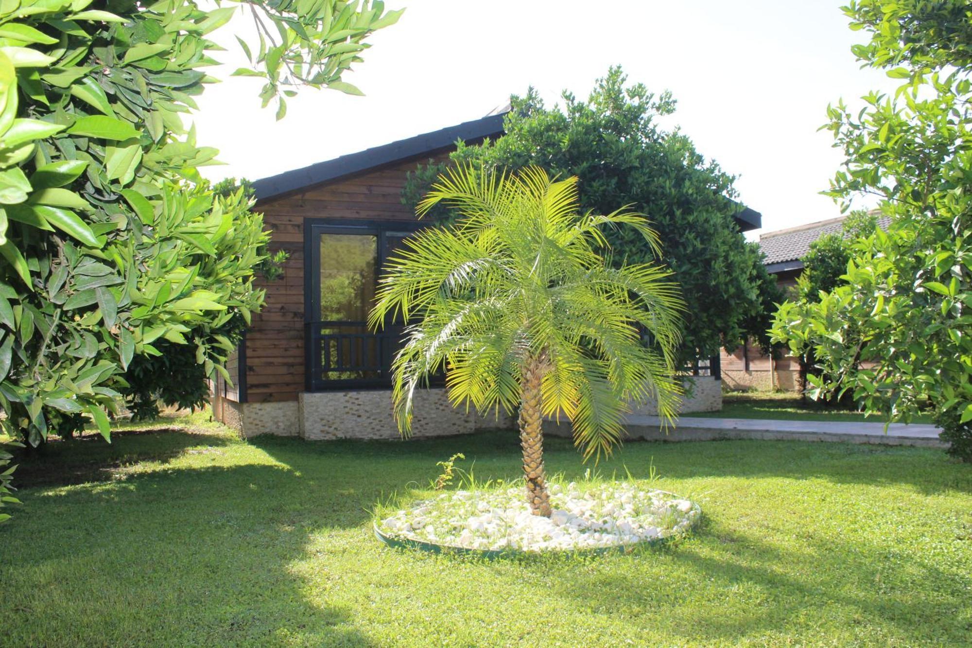 Cirali Villa'S Kemer Exterior photo
